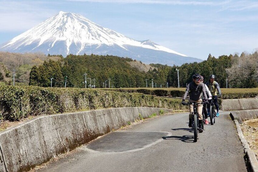 Mount Fuji Cultural and Geological Discovery Tour