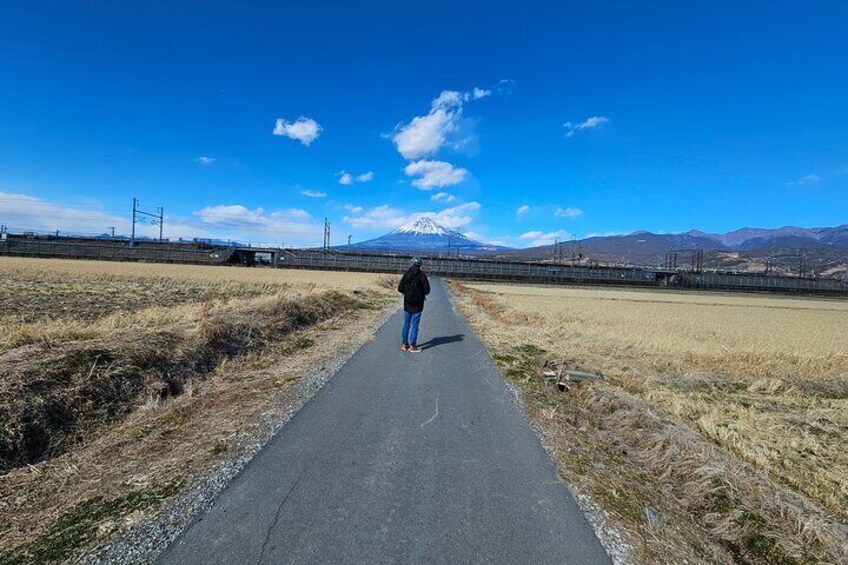 Mount Fuji E-Bike Tour: Explore Nature, History, and Geology 