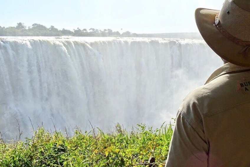 Half Day Guided Tour in Victoria Falls in Zambia and Zimbabwe