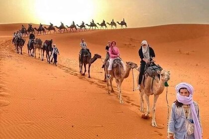 3 Days from Marrakech to Merzouga with Dunes and Sahara Camp