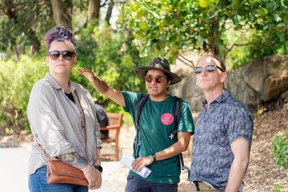 Native Australian Food, Wine, Sydney Botanical Garden Forage Tour