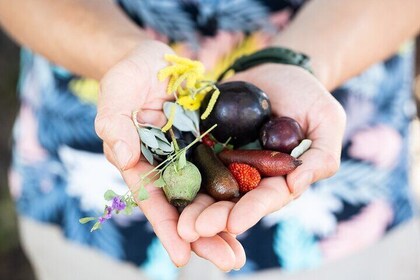 Australian Ploughman: All-Inclusive Lunch & Native Walk