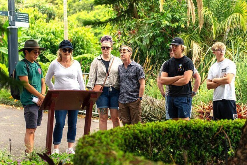 3 Group Walking food tours Sydney at the Wishing Tree Botanical Gardens Sydney