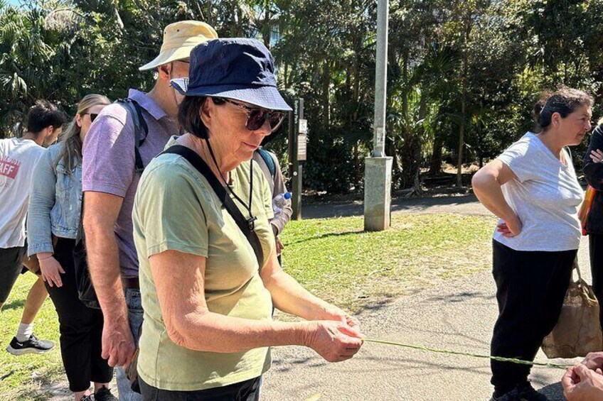 Australian Ploughman: All-Inclusive Lunch & Native Walk