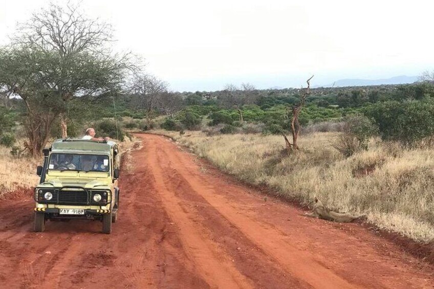 5 Days Safari to Tsavo East and Tsavo West from Mombasa