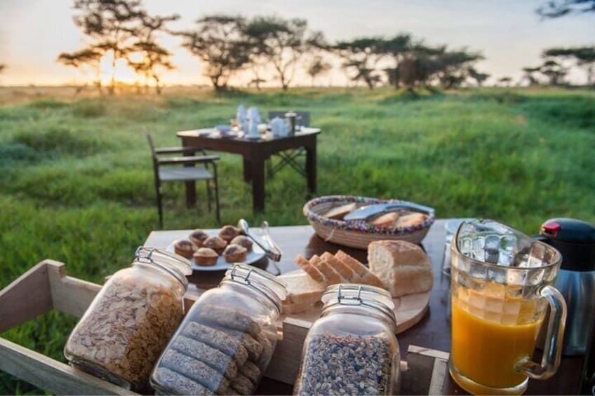 3 Days Serengeti Safari Flying Zanzibar or Dar Es Salaam