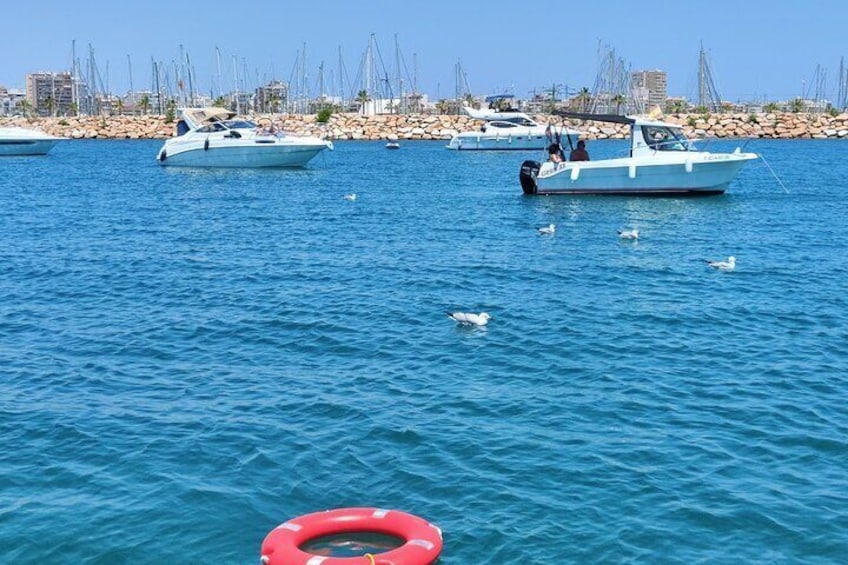 Boat trip and sea bathing