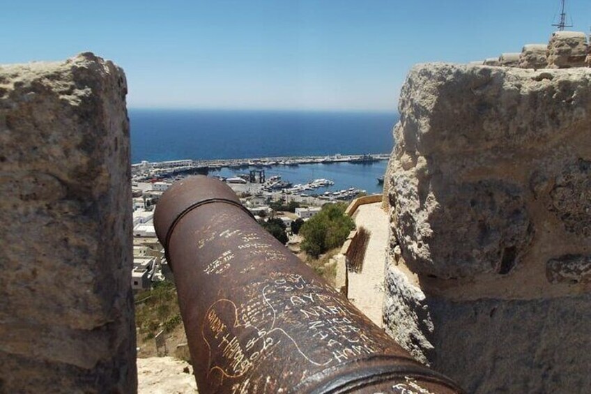 Private Day Tour to Cap Bon