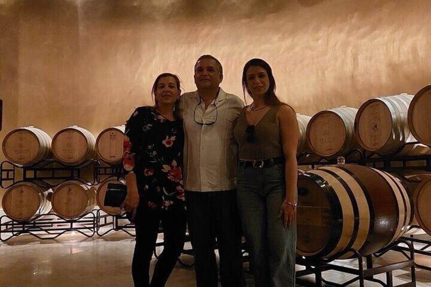 Mexican wine tour: Taste Queretaro Wine and Cheese and Visit Town