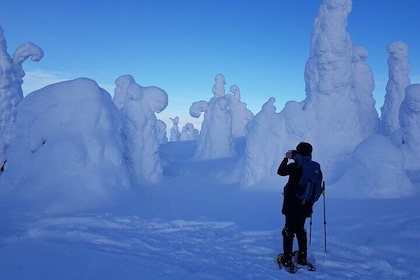 Riisitunturi National Park Private Snowshoe Experience