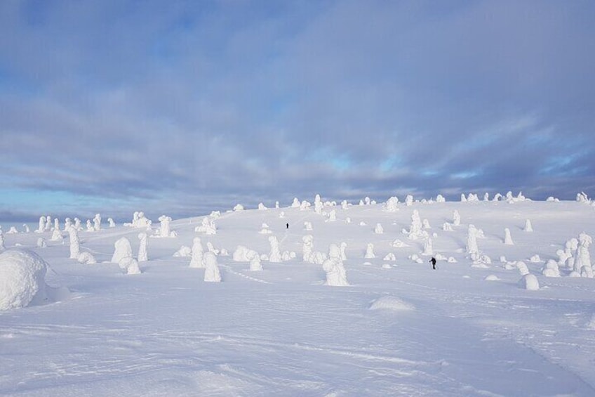 Riisitunturi National Park Private Snowshoe Experience