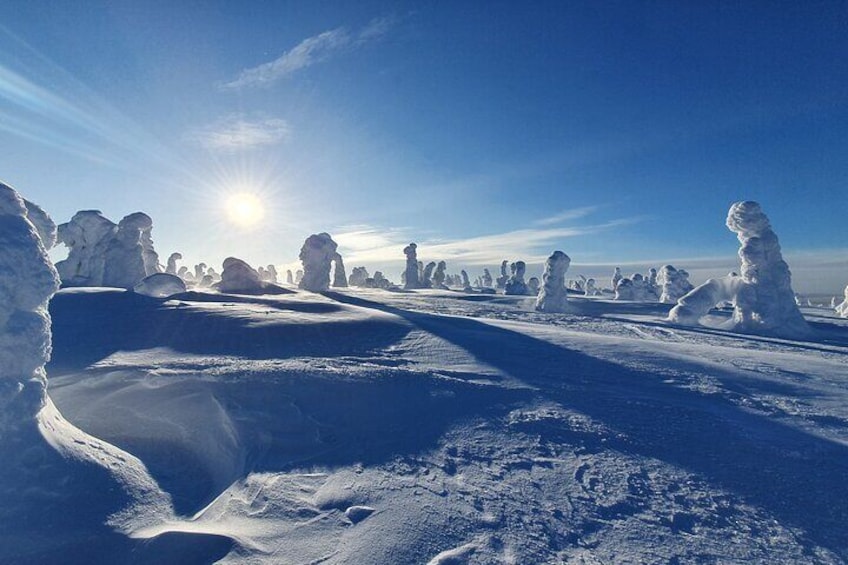 Riisitunturi National Park Private Snowshoe Experience