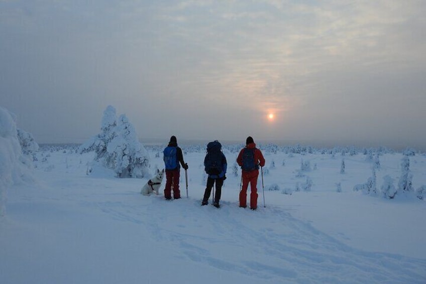 Riisitunturi National Park Private Snowshoe Experience