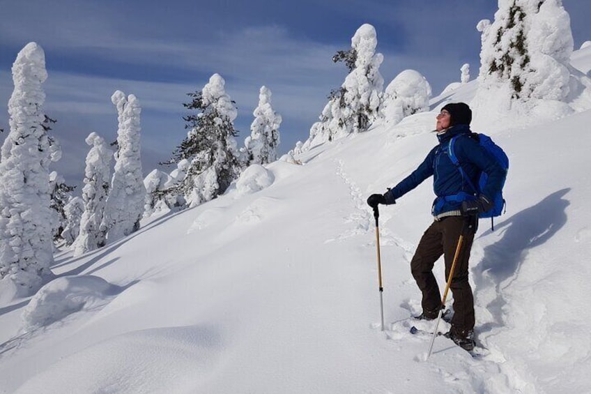 Riisitunturi National Park Private Snowshoe Experience