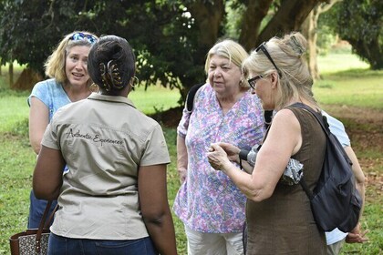 Private Entebbe and Kampala 2-Day Tour