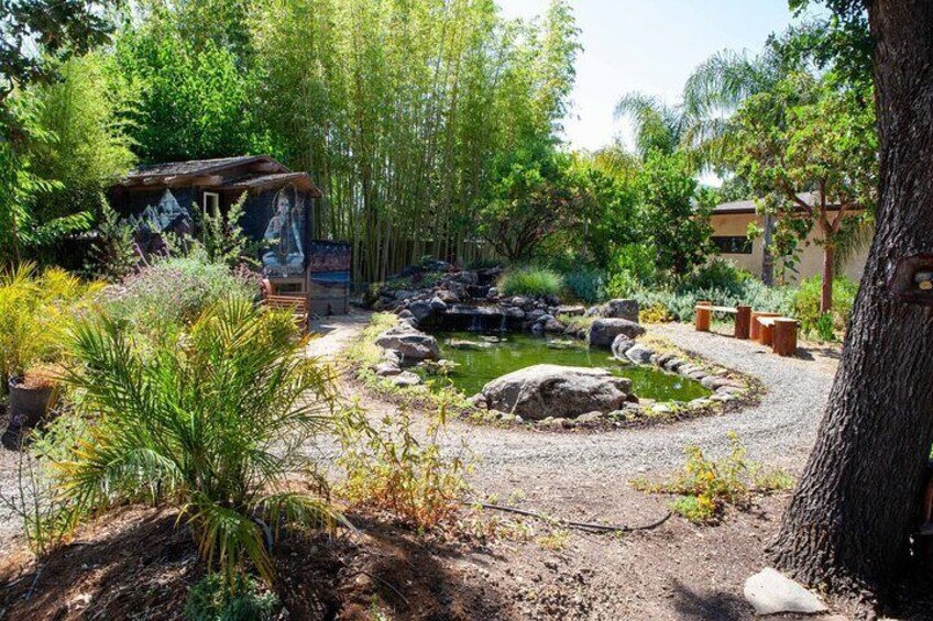 3 Hr Guided Sonoma Trike and Mindfulness