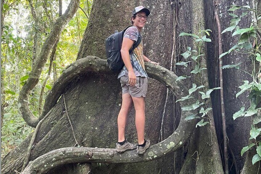 3 Day All-Inclusive Guided Jungle Tour from Iquitos