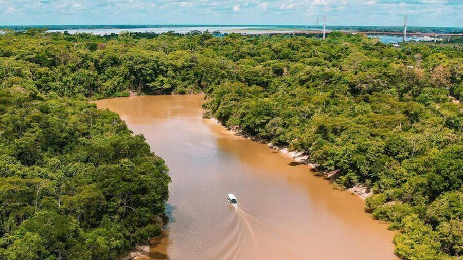 Float down the Amazon River led by your tour guide and enjoy the beauty of the surrounding Rainforest