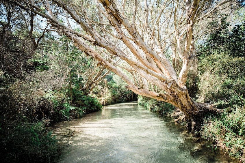 K’gari Explorer Day Tour (Ex-Hervey Bay)