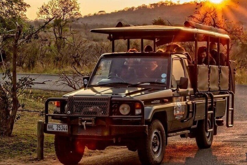 Safari Vehicle