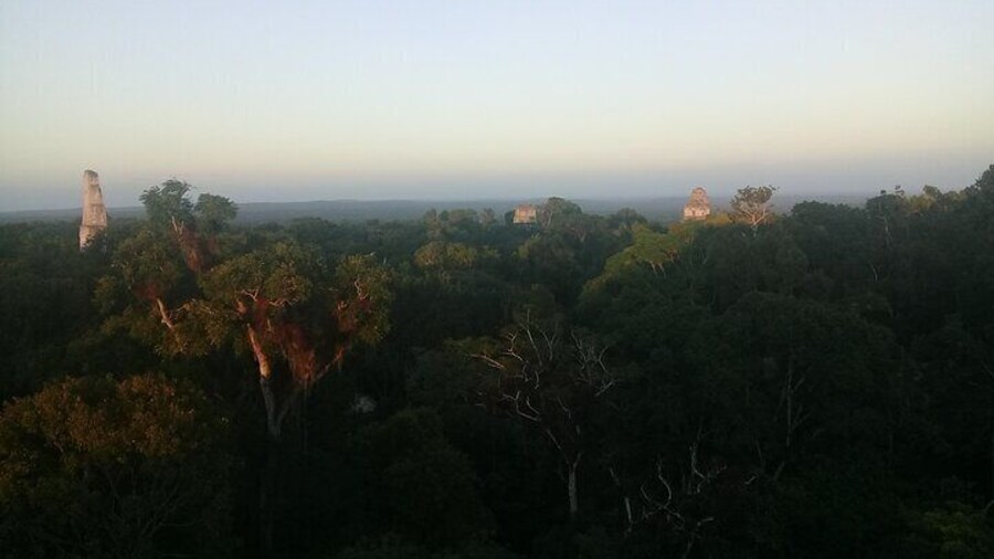 Tikal From Temple IV