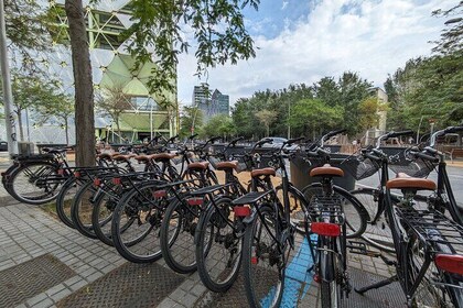 Private Bike or E-bike Tour Starting from your Hotel