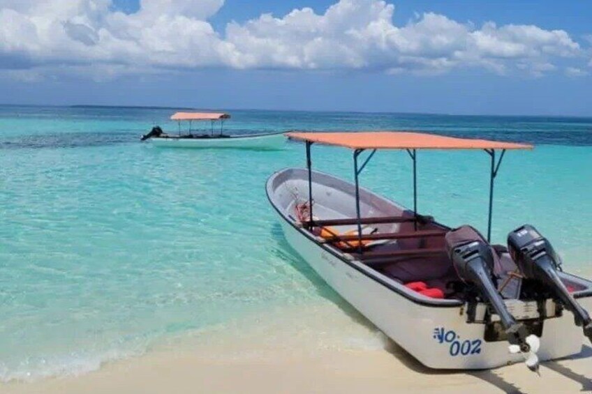 Private Pungume sandbank beach and swimming with seaturtles 