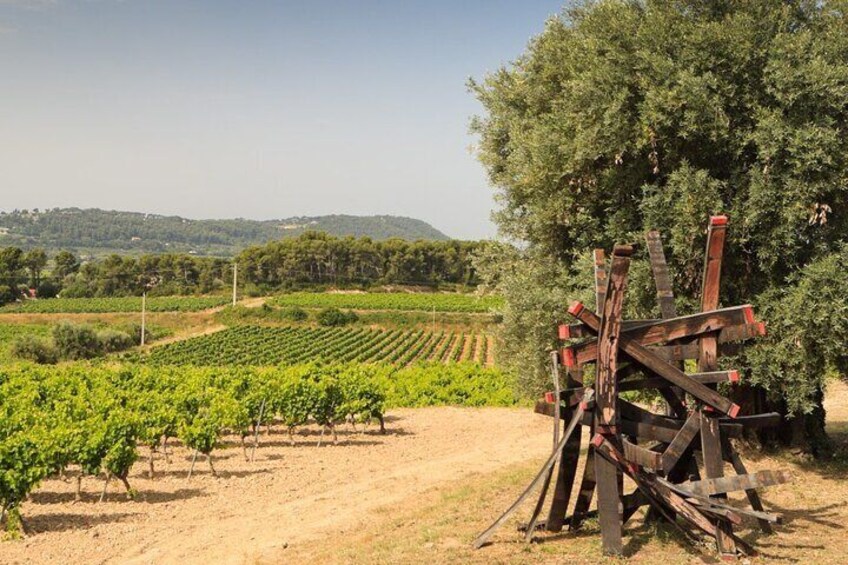 Private Vineyard Tour and Bandol Wine Tasting