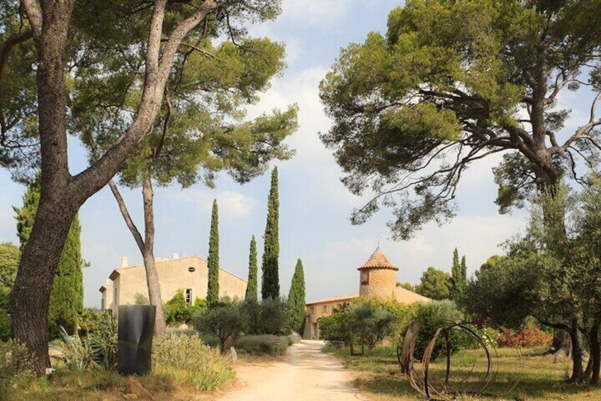 Private Vineyard Tour and Bandol Wine Tasting