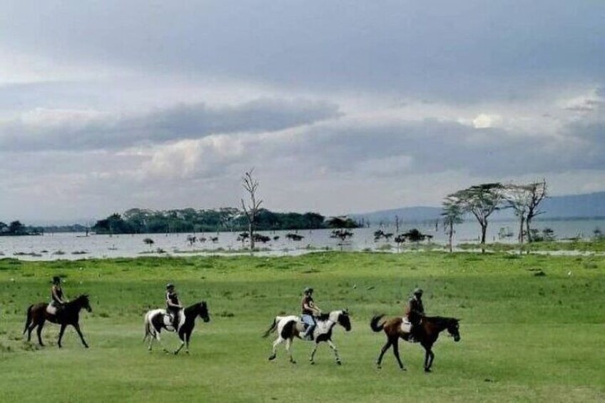 Tour to Hell’s Gate Park and Horse Riding at Sanctuary Farm