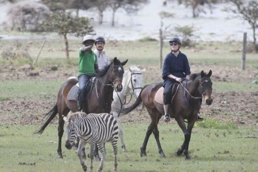 Tour to Hell’s Gate Park and Horse Riding at Sanctuary Farm