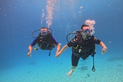 Diving and snorkelling in Hurghada