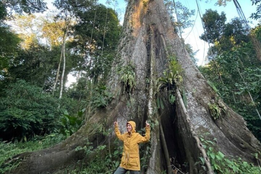 1 Day All Inclusive Jungle Tour from Iquitos to Brisa Trop Lodge