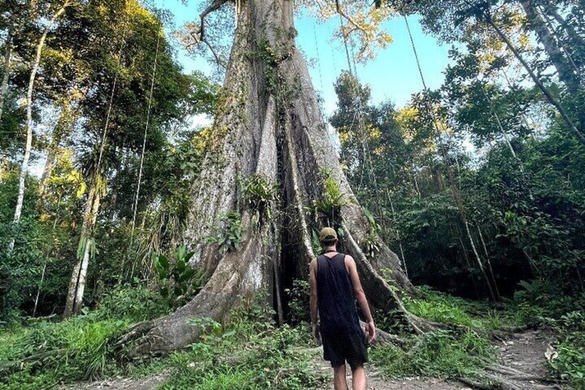 1 Day All Inclusive Jungle Tour from Iquitos to Brisa Trop Lodge