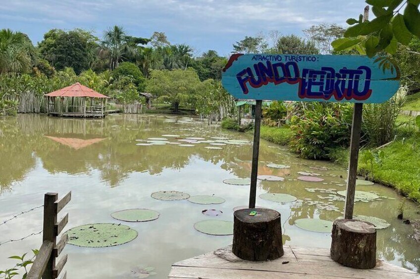 1 Day All Inclusive Jungle Tour from Iquitos to Brisa Trop Lodge