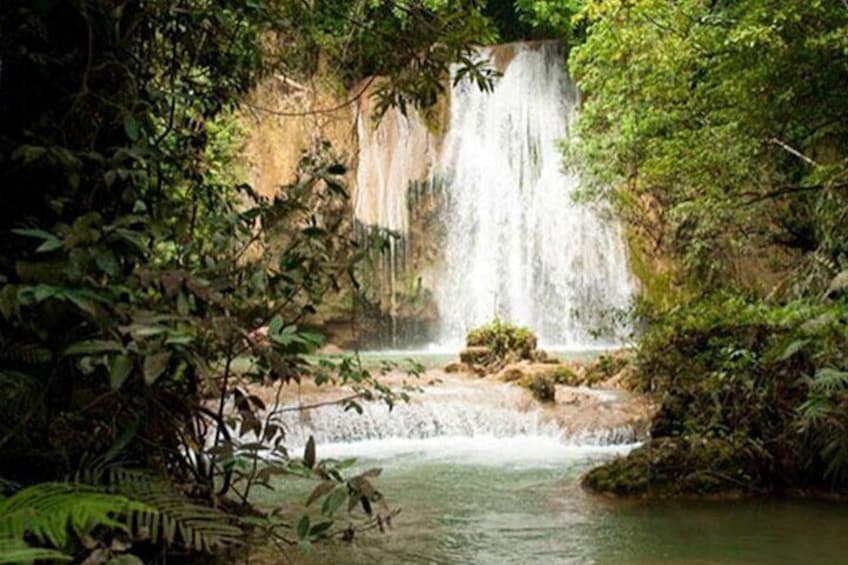 Samana Cayo Levantado Isla Bacardi Waterfall and Whale Watch