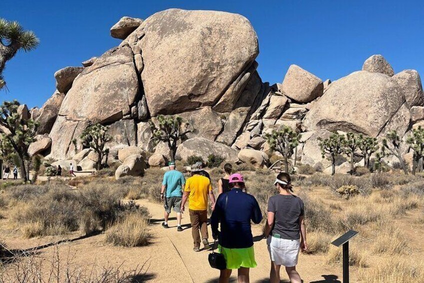 Sightseeing Adventure Tour of Joshua Tree National Park