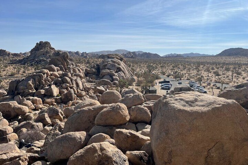 Sightseeing Adventure Tour of Joshua Tree National Park