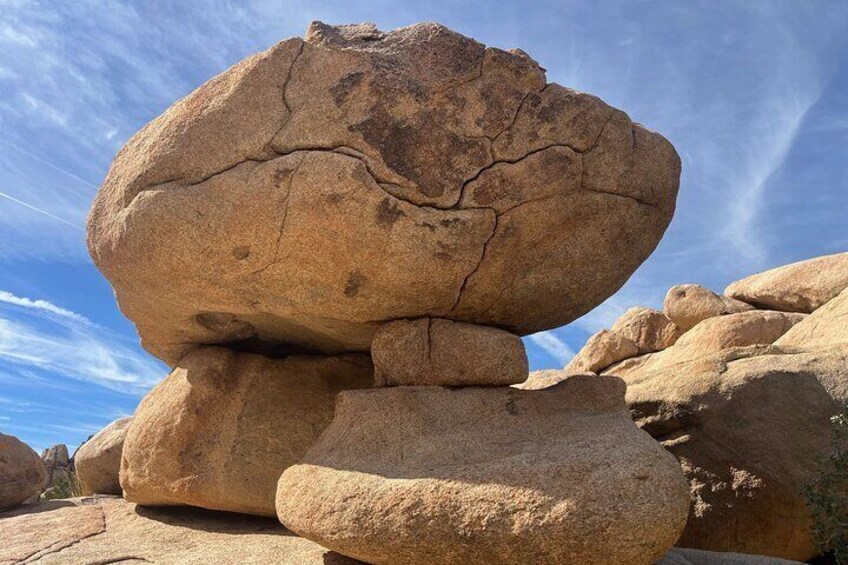 Sightseeing Adventure Tour of Joshua Tree National Park