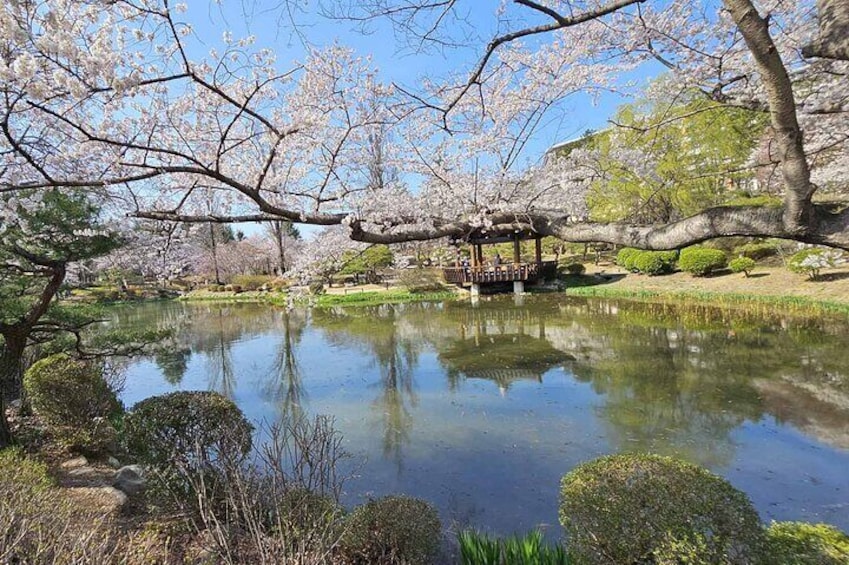 Private Guided World Heritage Tour to Gyeongju 