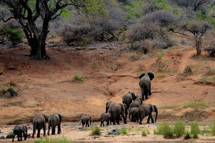 8-Day Private Safari Tour of Kenya from Nairobi