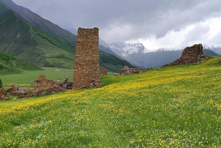 Private Scenic Trek to Truso Gorge from Tbilisi