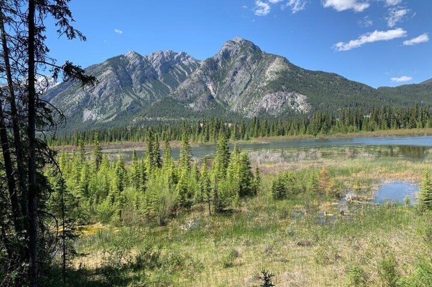 Banff Nature Walk - 2hrs