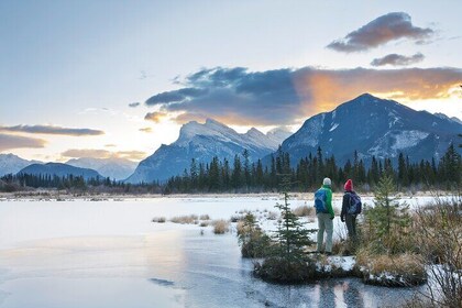 Banff: Nature Walk 2hrs - Winter Edition Ice Cleats Included