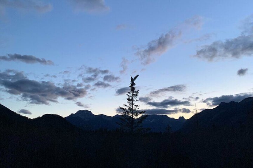 Banff Sunset & Stars - Walking Tour / Headlamp Included