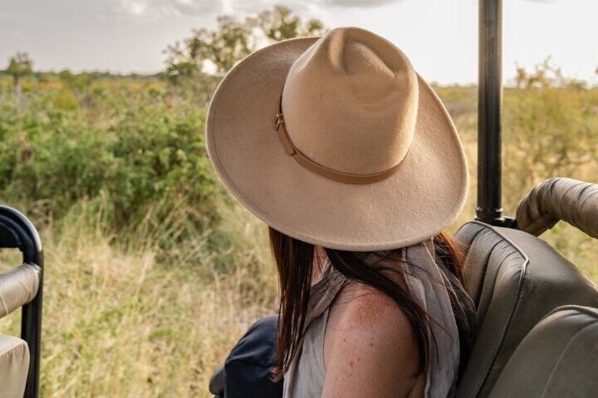 Sunrise Game Drive in Big5 Reserve