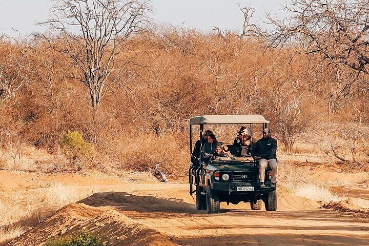 Unforgettable Big 5 Sunset Safari in Hoedspruit