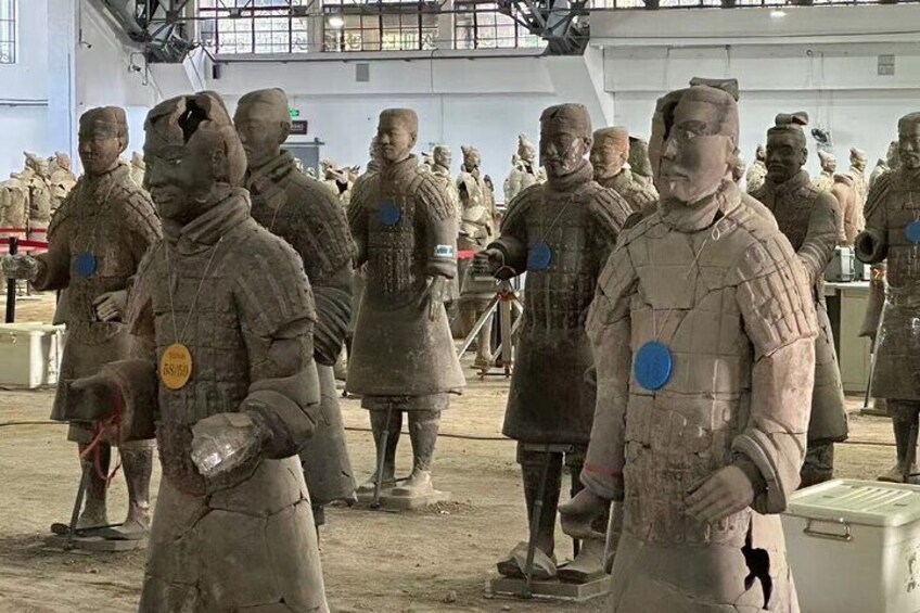 Terracotta Warriors Museum Tickets Booking