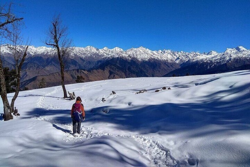 Snow Covered landscape on the trail of Kedarkantha Trek in Winter