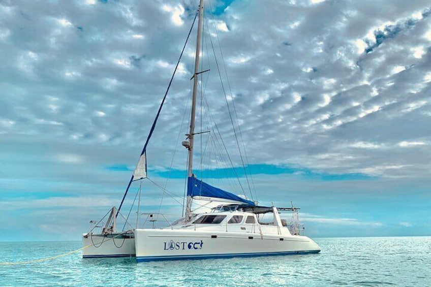 Sailing Catamaran Lost Cat is 43' long by 25' wide with 3 cabins, 2 bathrooms, full kitchen, and an outdoor fresh-water shower.